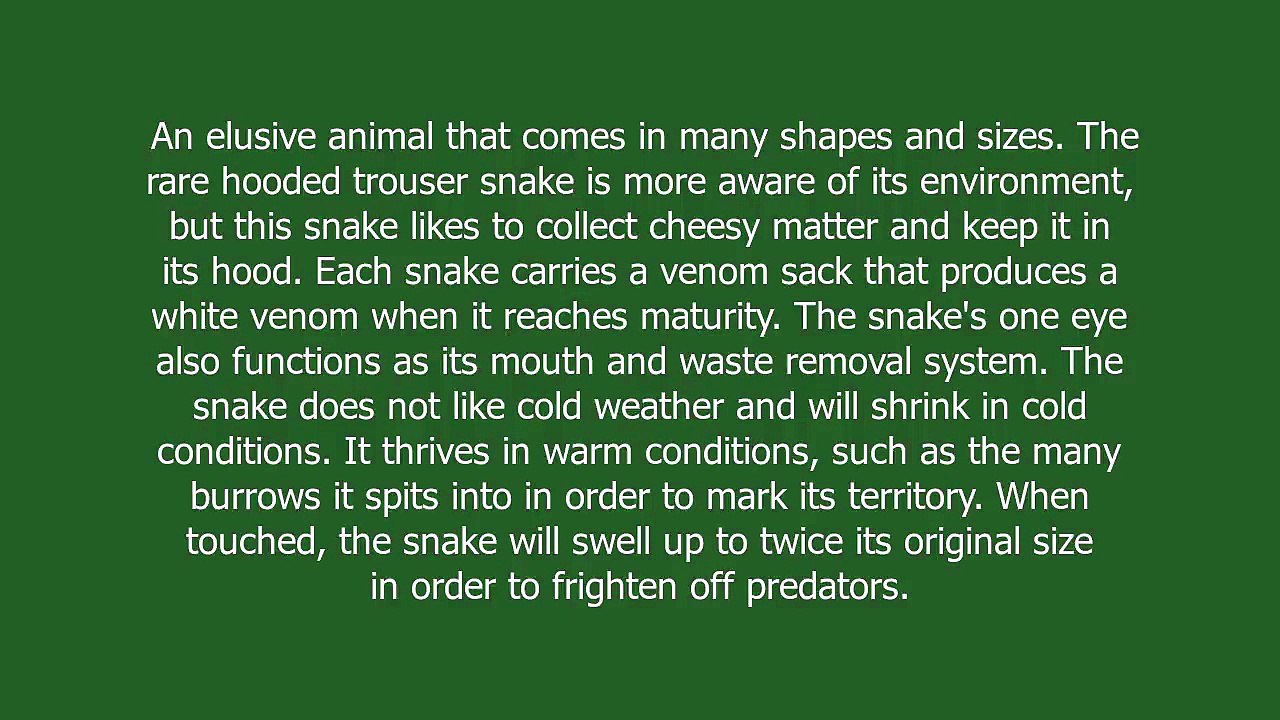 trouser snake meaning and pronunciation video Dailymotion