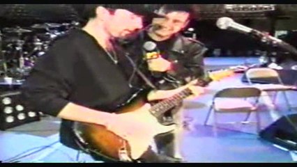 What is Zootv? An Overview