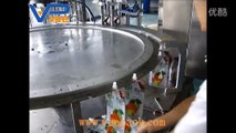 Stand up with nozzle Bag Packaging Machine （2 TUBE)
