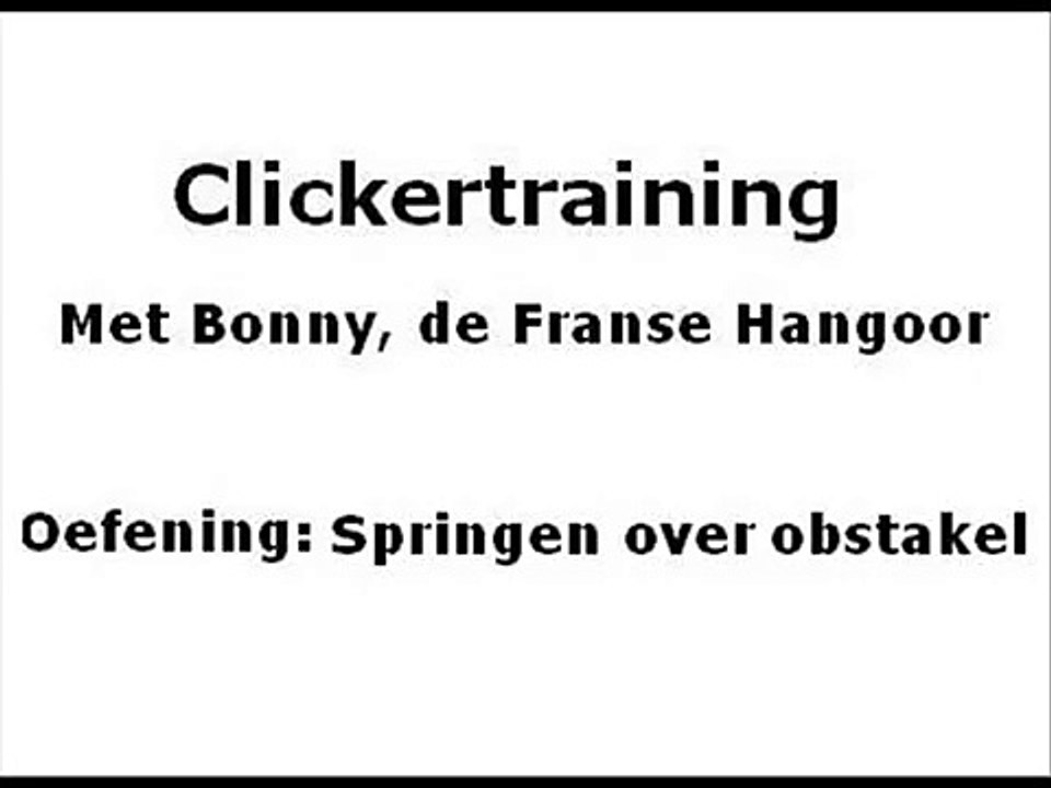 Clickertraining: Springen over obstakel