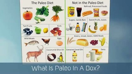 Paleo In A Box Book - What Is Paleo In A Box System?