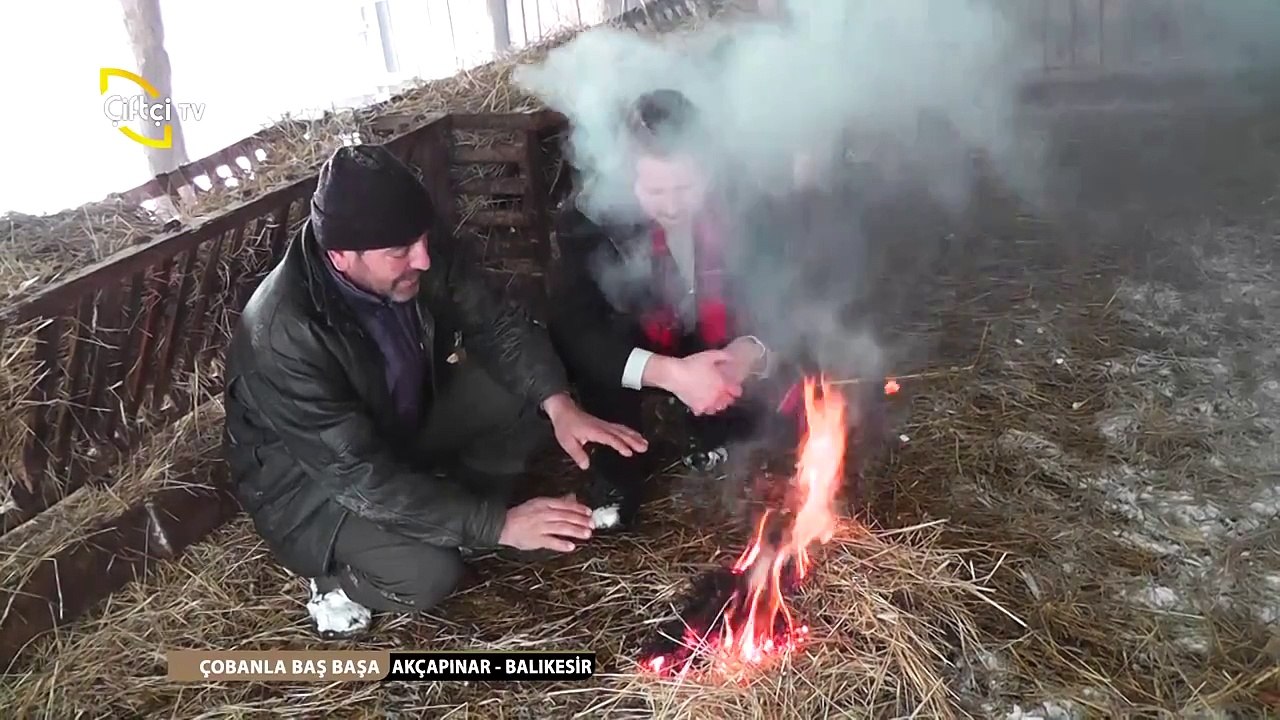 ÇOBANLA BAŞBAŞA -33-KOYUN ÇOBANIHasan Aslan -AKÇAPINAR Gönen BALIKESİR