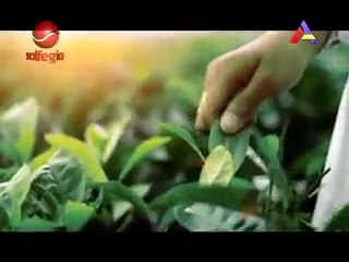 LAGU KERINCI - SATAHUN CINTO