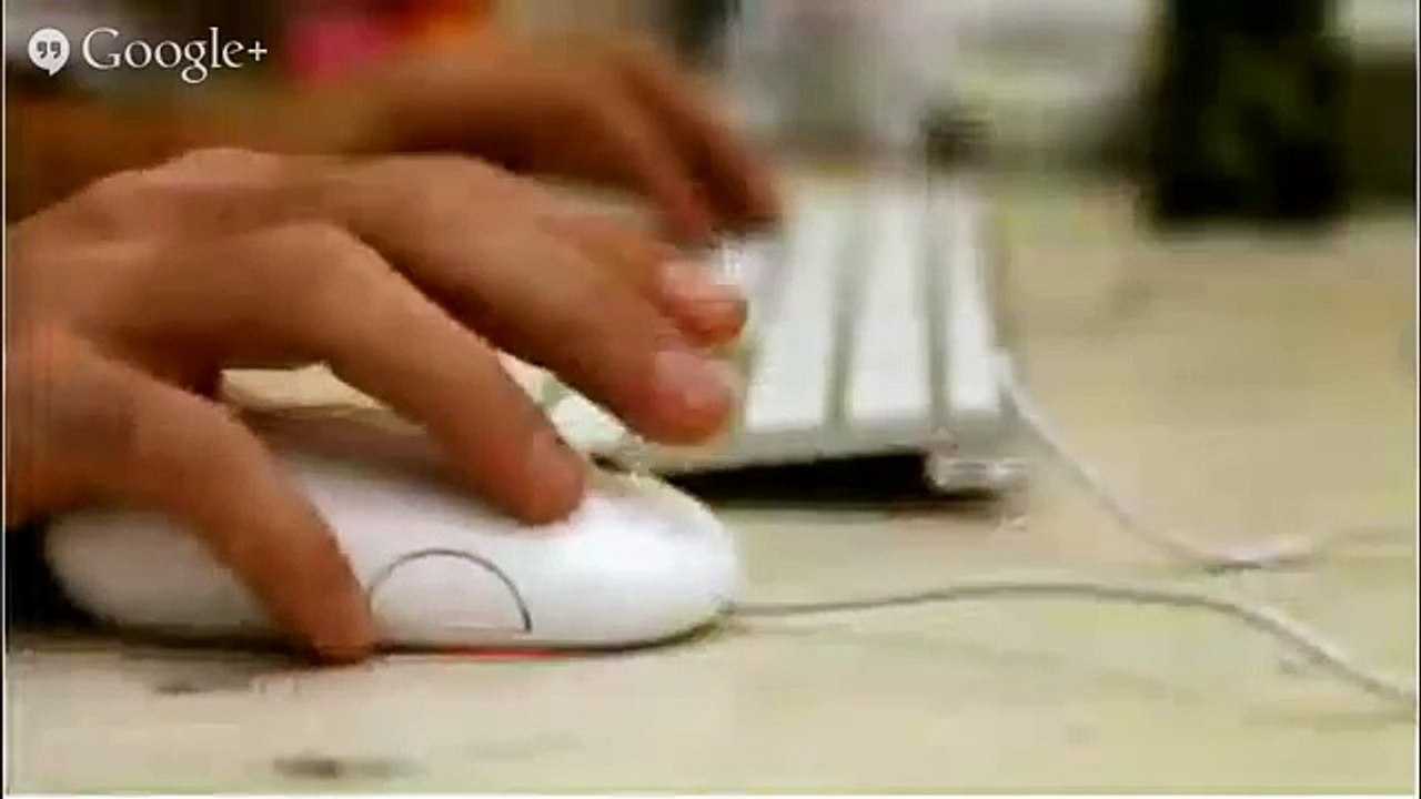 Everify For Criminal Backgrounds | Employment Florida | E-verify For Criminal Backgrounds