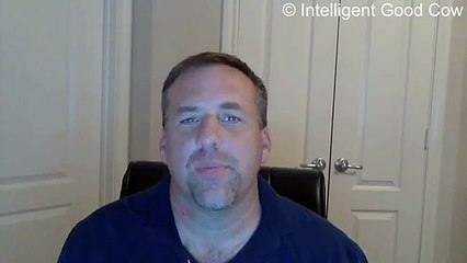 Forex Megadroid Robot Review - Is it Another scam?