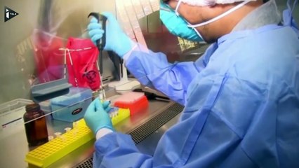 Zika : le Texas annonce un cas de transmission du virus par voie sexuelle