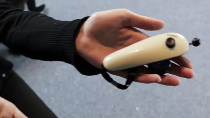 Clickertraining: Pfötchen geben: 2 Methoden