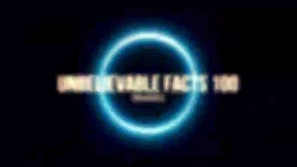 Biggest Sea Creatures in World