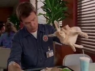 Scrubs-le janitor et les animaux