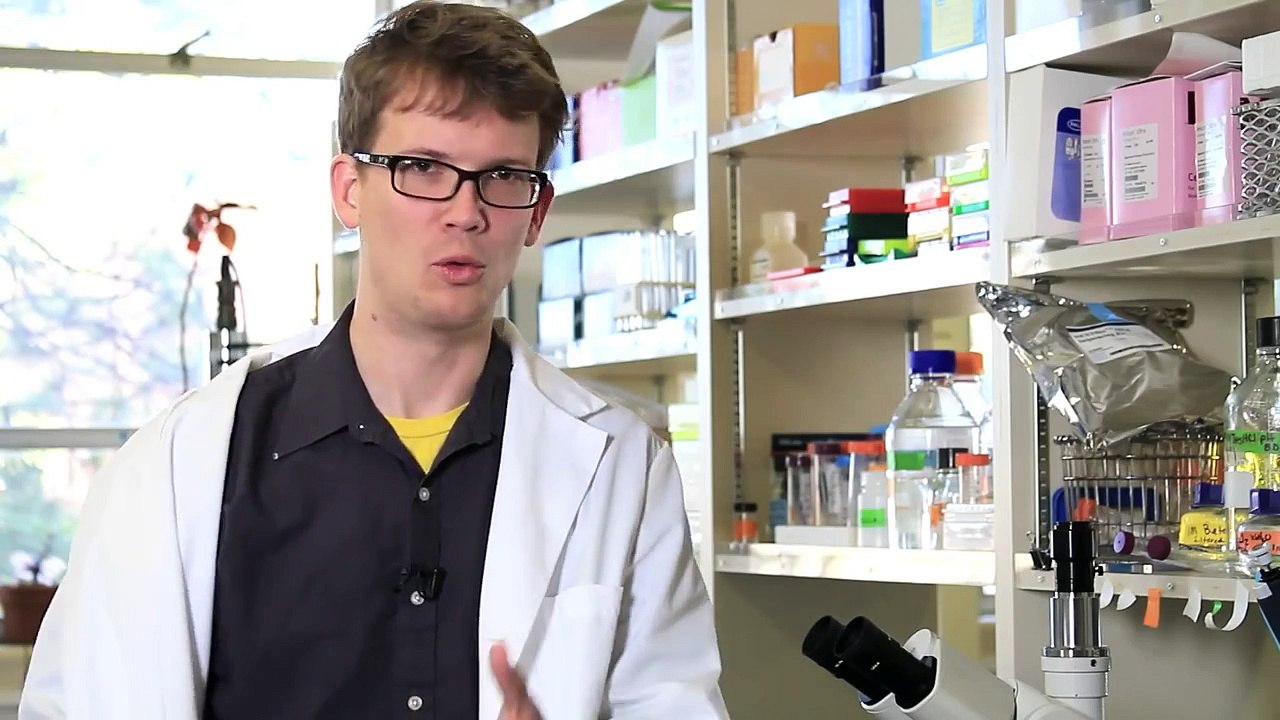 Evolutionary Development: Chicken Teeth - Crash Course Biology #17