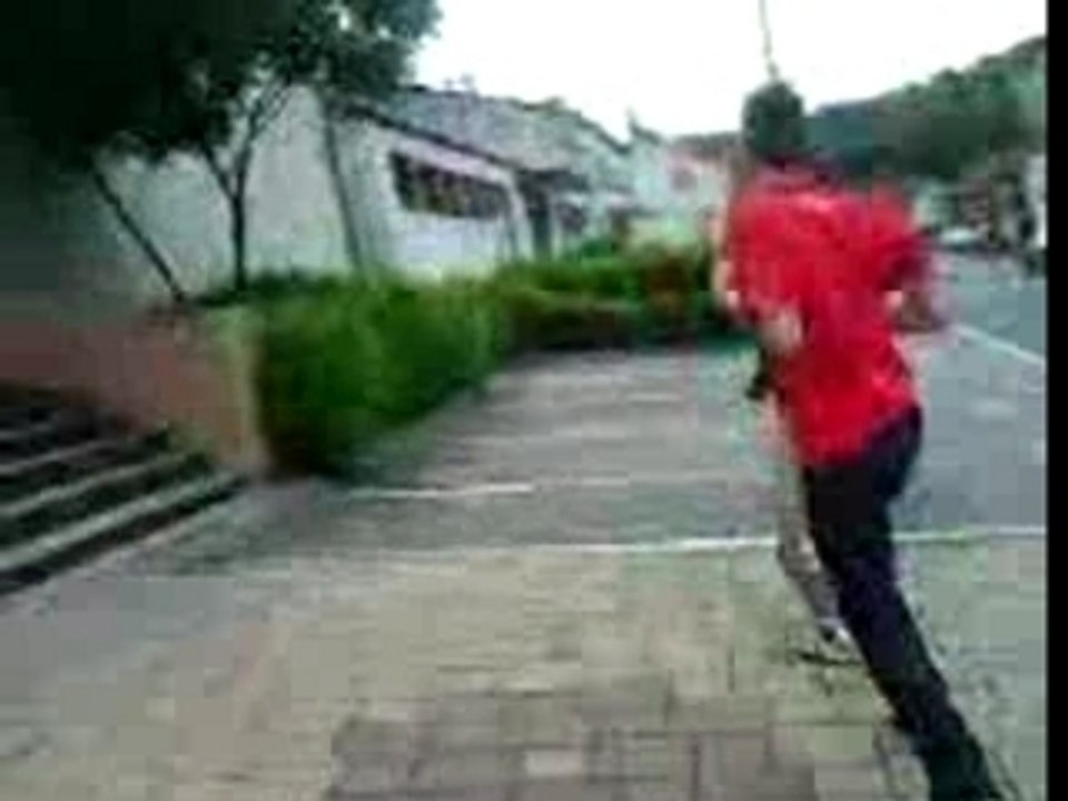 KIWI VS LEA 1