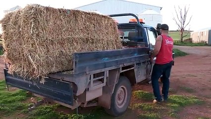 Farmer Wants a Wife - Meet South Australian farmer Julian _ Daily Mail Online