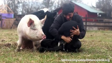 SAFE - All animals want to be loved