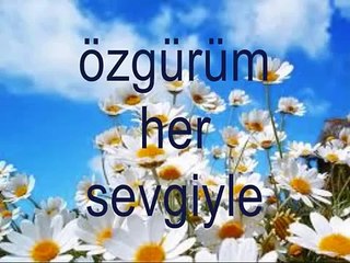 Hooponopono calışması