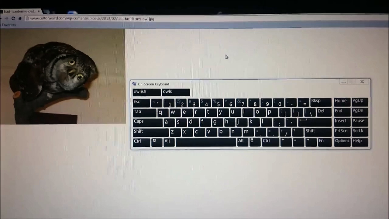 Inconsiderate Neighbor