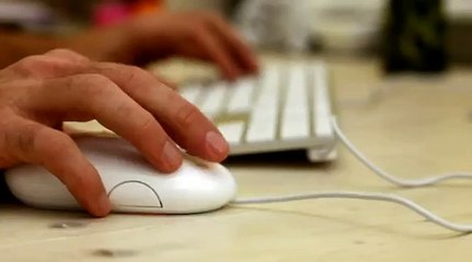 EVerify System - Is EVerify Self Check System A Scam?