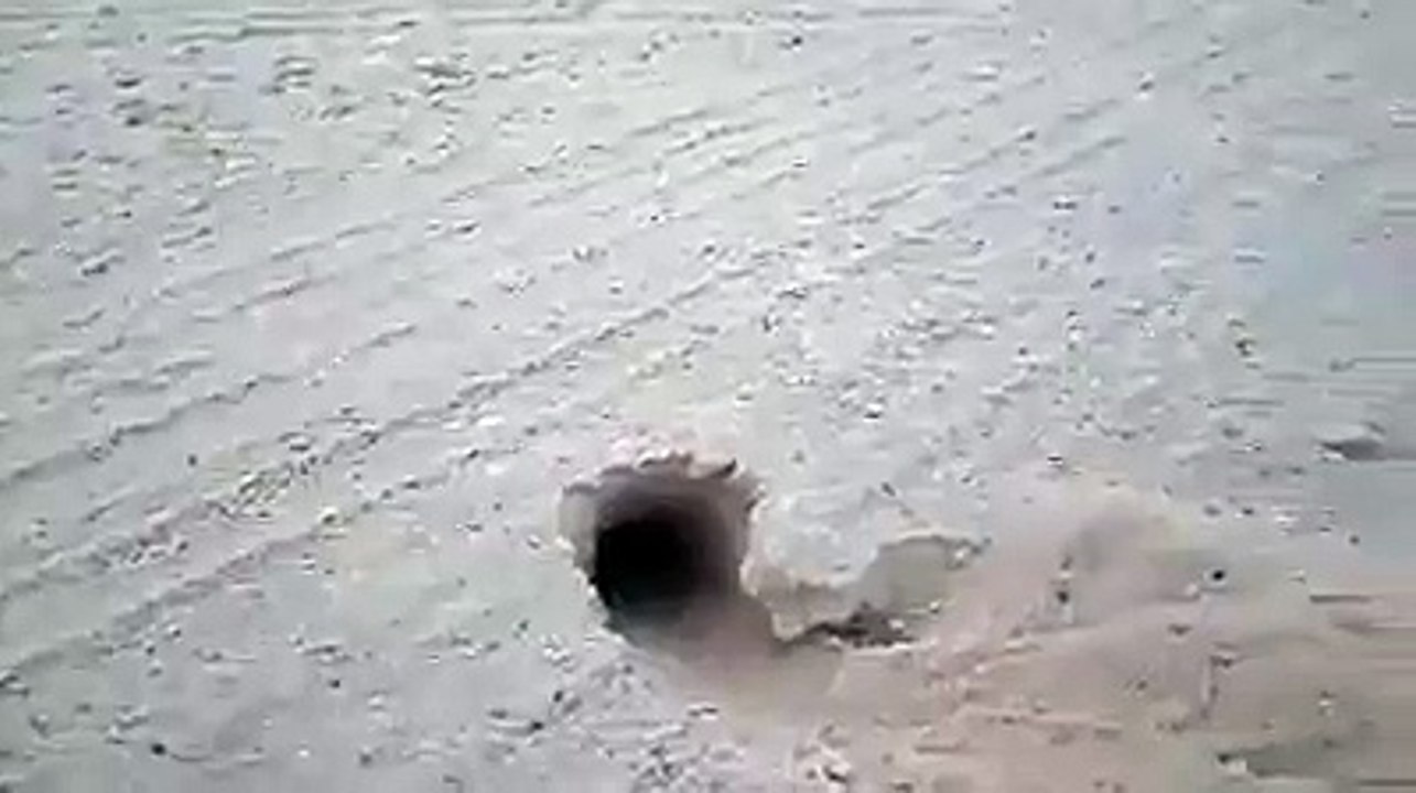 funny video VID-20151027-WA0031