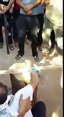 funny video VID-20151027-WA0028