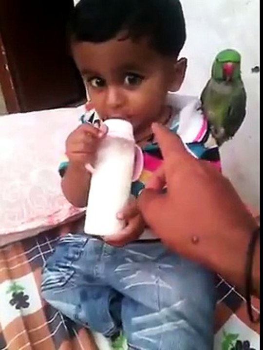 funny video hd official  VID-20151028-WA0011