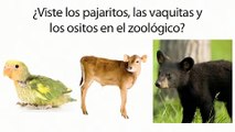 Learn Spanish 4.3 Spanish Diminutives for Tiny, Cute, or Baby Things