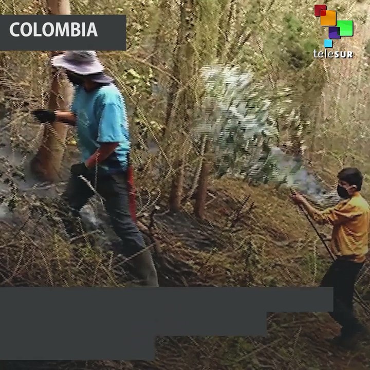 Forest Fire in Area  Surrounding Bogota