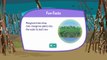 Plum Landing Mangroovin Cartoon Animation PBS Kids Game Play Walkthrough