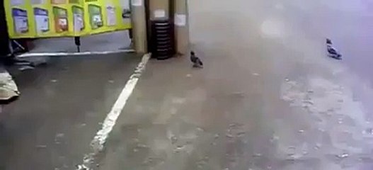 VID-20151028-WA0062