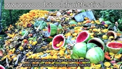 Cómo iniciar una dieta CRUDIVEGANA/RAW TILL 4 El día de hoy