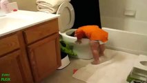 Toddler Dunks His Head in Toilet | Pakistani Vines OFFICIAL