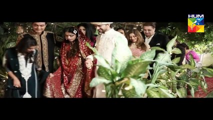 Pakeeza OST HUM TV Drama