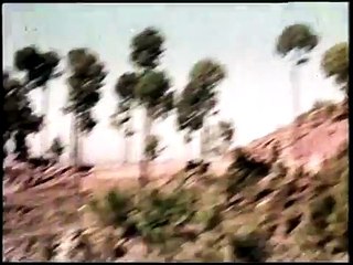 MEIN PYAR NIBHAON GI  DO BADAN by shahid jutt sialkot