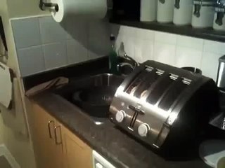 The worlds worst toaster