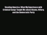 Stealing America: What My Experience with Criminal Gangs Taught Me about Obama Hillary and