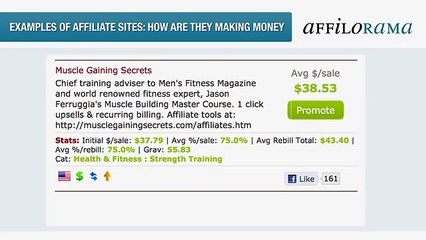 How Do Successful Affiliate Sites Make Money? | Affilorama Video Training