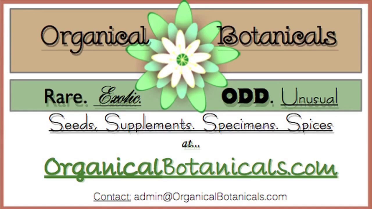 TUTORIAL: GROWING Papaver SOMNIFERUM Poppy - GROW Opium POPPIES from SEEDS is LEGAL in USA