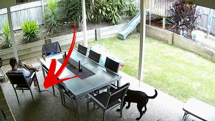 Guy Has a Close Call With a Deadly Brown Snake