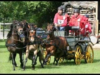 Concours attelage Cousances