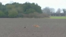 BBC1_Look North (East Yorkshire & Lincolnshire) 2Feb16 on hare coursing