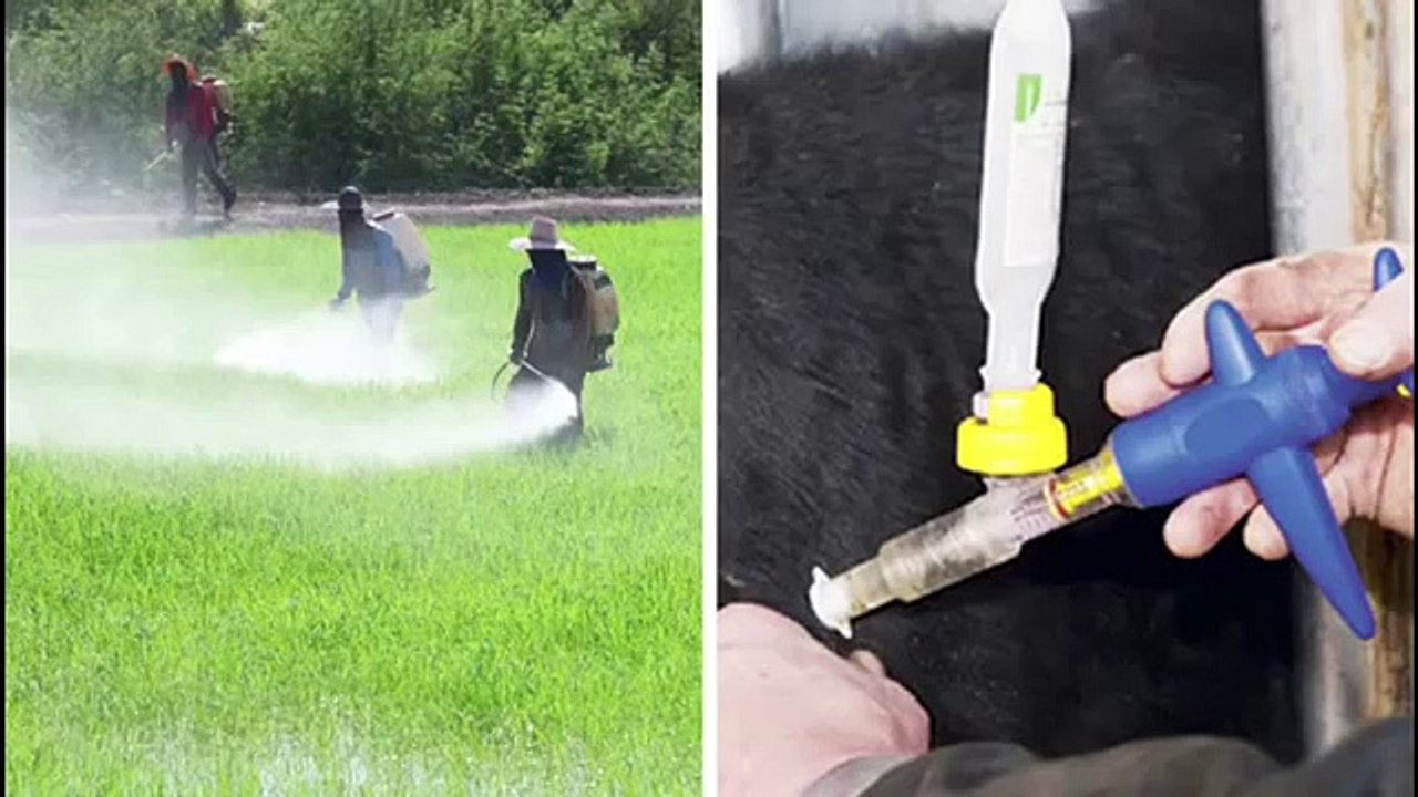 "Customized Fat Loss for Men | Easy Fat Loss by Kyle Leon"