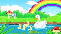 Five Little Ducks Went Out One Day | Nursery Rhyme | Cartoon | Classic Childrens Song