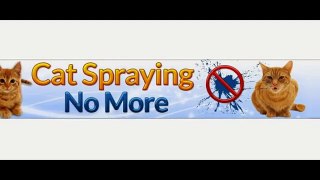 cat spraying no more review