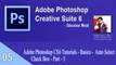 Adobe Photoshop CS6 Tutorials - Basics -  Auto Select Check Box - Part - 5