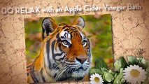benefits of drinking apple cider vinegar |apple cider vinegar benefits | best|natural diuretics|skin