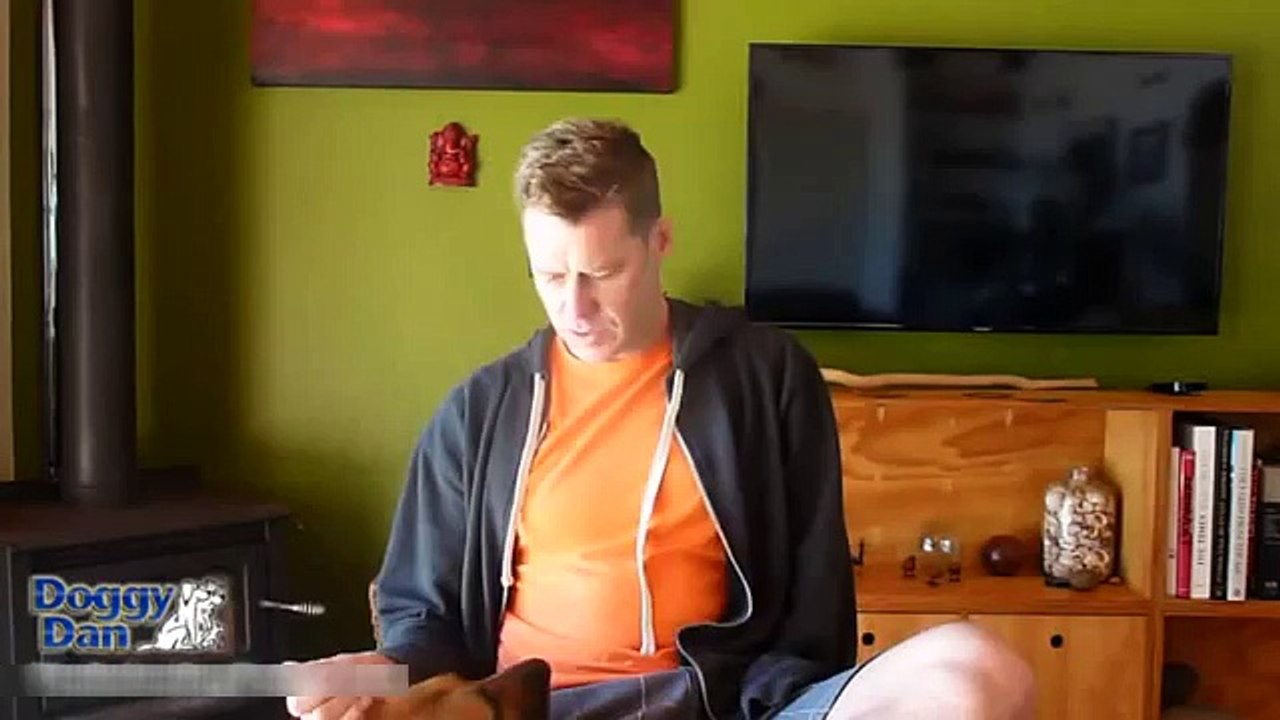 Doggy Dan Review | The Online Dog Trainer