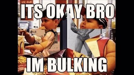 Reverse Dieting Reviews-Is It Worth The Cost?