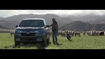 Pub Honda (Super Bowl 2016)