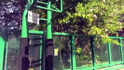 Jump Manual week 7 Results/ Dunk training-small ball dunks