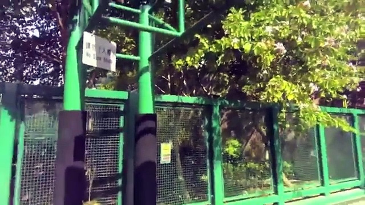 Jump Manual week 7 Results/ Dunk training-small ball dunks