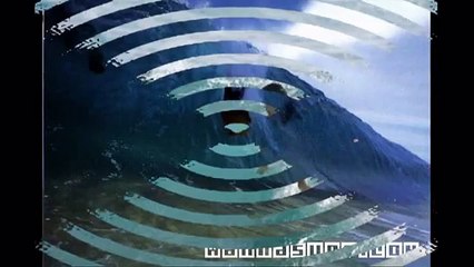 Total Surfing Fitness Reviews-Does It Work?