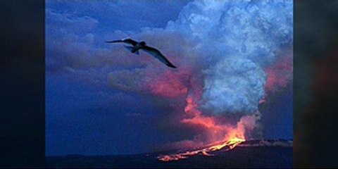 Rare video of Heard Island volcano Big Ben erupting